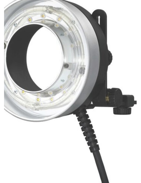 BD-09C Griglia a Nido D’ape per Ring Flash R1200 (40°)