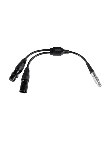 Cavo Adattatore DMX Per Pavotube X