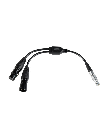 Cavo Adattatore DMX Per Pavotube X