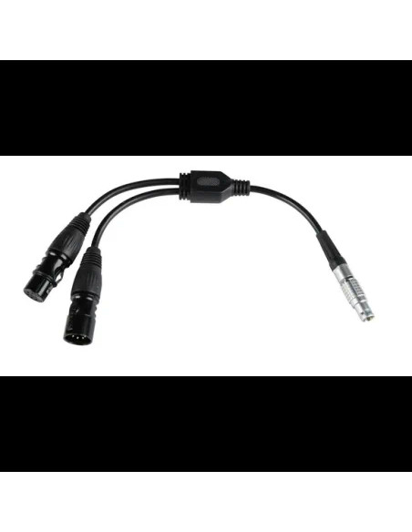 Cavo Adattatore DMX Per Pavotube X
