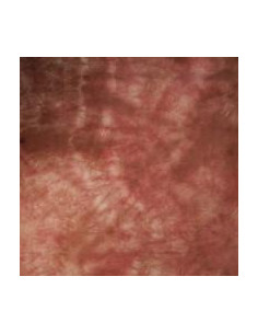 TRUX DESIGN FONDALE STOFFA 3X6 MT ROSSO BRUNO MACULATO CON BORSA