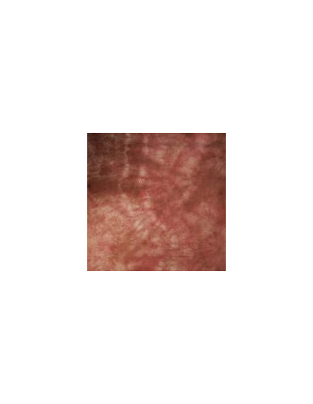 TRUX DESIGN FONDALE STOFFA 3X6 MT ROSSO BRUNO MACULATO CON BORSA