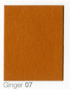 COLORAMA 2,72X11M GINGER