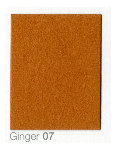 Fondale In cartoncino 2,72 x 11 Ginger
