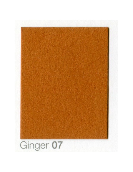 Fondale In cartoncino 2,72 x 11 Ginger