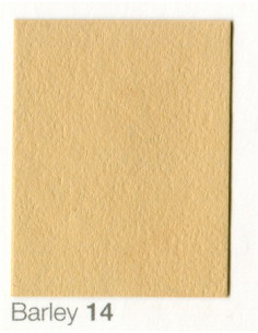 COLORAMA 2,72X11M BARLEY