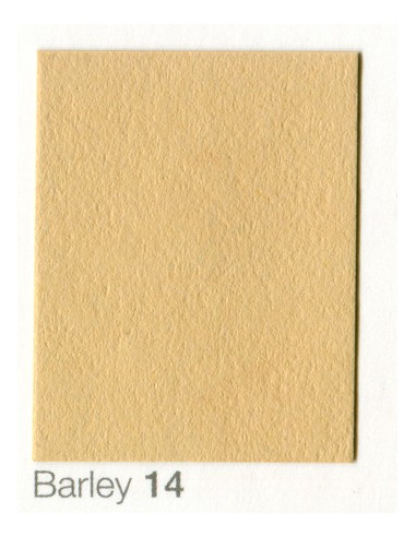 Fondale In cartoncino 2,72 x 11 Barley