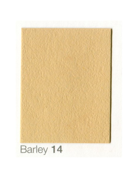 Fondale In cartoncino 2,72 x 11 Barley