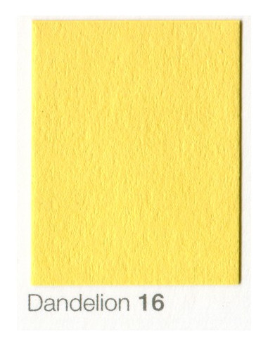 Fondale In cartoncino 2,72 x 11 Dandelion