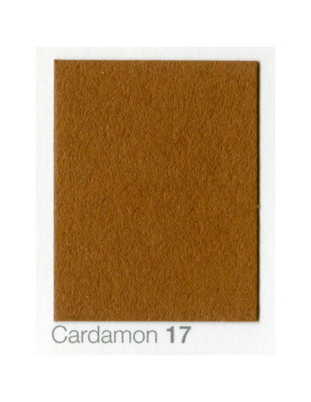 Fondale In cartoncino 2,72 x 11 Cardamon