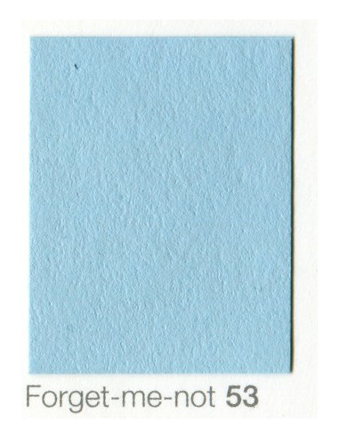 Fondale In cartoncino 2,72 x 11 Forget Me Not