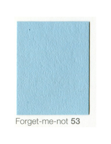 Fondale In cartoncino 2,72 x 11 Forget Me Not