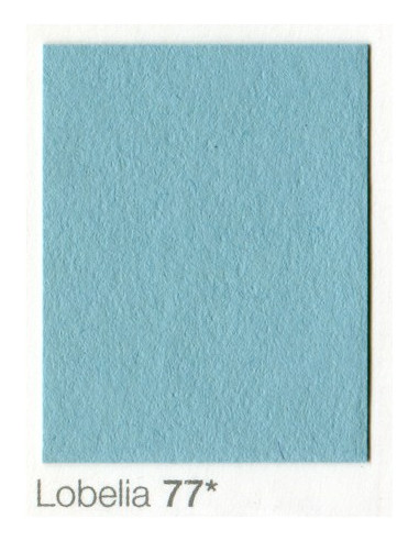 Fondale In cartoncino 2,72 x 11 Lobelia