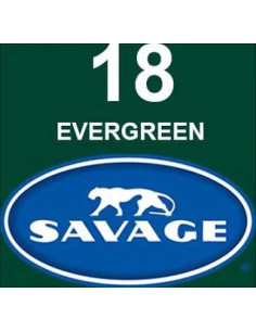 SAVAGE FONDALE  2,72X11M COLORE 18 EVERGREEN SEAMLESS PAPER 2