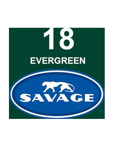 Fondale in cartoncino Evergreen 2,72 x 11 metri