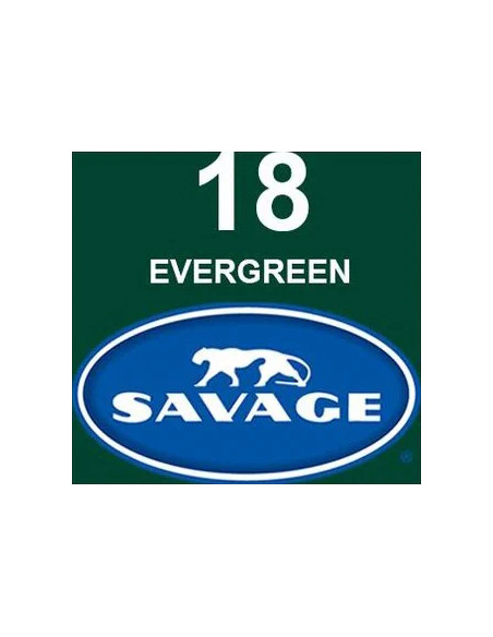 Fondale in cartoncino Evergreen 2,72 x 11 metri