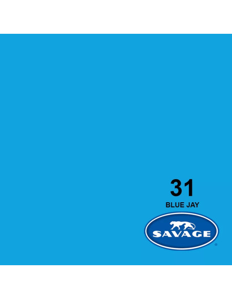 SAVAGE FONDALE  2,72X11M COLORE 31 BLUE JAY SEAMLESS PAPER