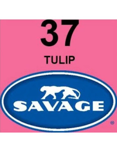 SAVAGE FONDALE  2,72X11M COLORE 37 TULIP SEAMLESS PAPER 2