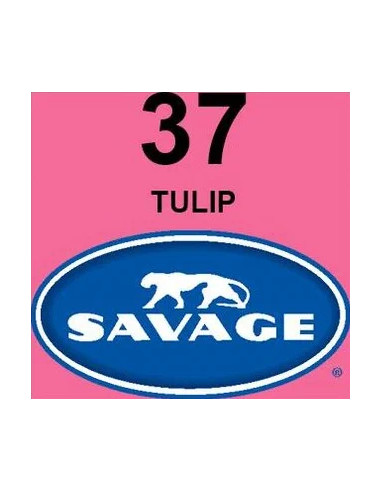 Fondale in cartoncino Tulip 2,72 x 11 metri