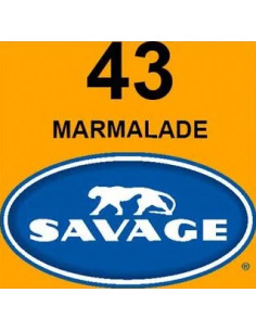 SAVAGE FONDALE  2,72X11M COLORE 43 MARMELADE SEAMLESS PAPER 2