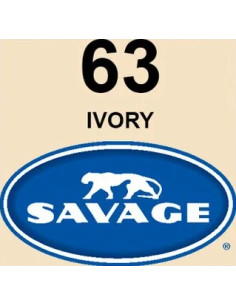 SAVAGE FONDALE  2,72X11M COLORE 68 TEAL SEAMLESS PAPER 2