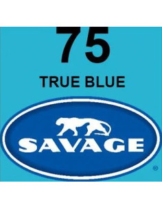 SAVAGE FONDALE  2,72X11M COLORE 75 TRUE BLUE SEAMLESS PAPER 2