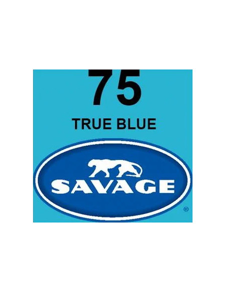 SAVAGE FONDALE  2,72X11M COLORE 75 TRUE BLUE SEAMLESS PAPER