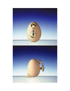 CONDOR CERA ADESIVA 2