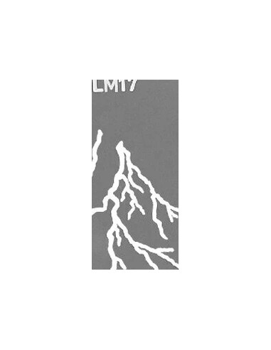 Set di gobo per Proiettore NL SET2 10pz