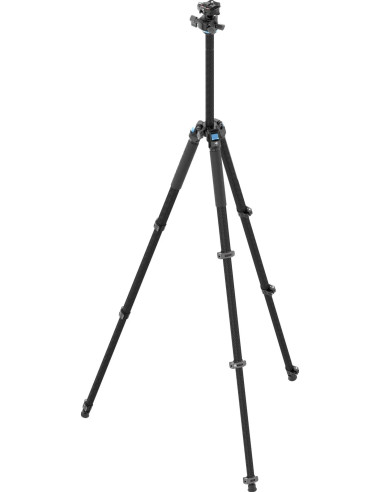 Treppiede L-224F + Testa KS-10