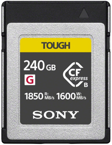 CEBG240T memoria flash 240 GB CFexpress tipo B