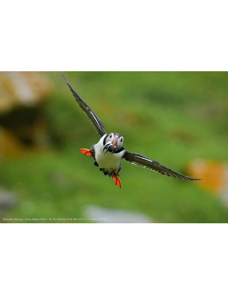 SONY ILCE A6700 26MP 6K+SEL 16-50 P F3,5/5,6 PZ OSS II