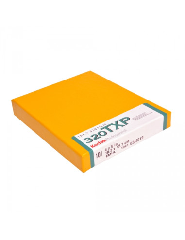 KODAK 1006881 TRI-X PAN PROF 4X5/10 