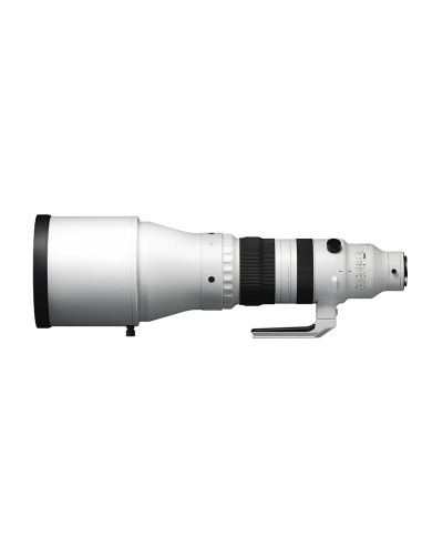 300-600mm f/4 DG OS Sports Sony E-Mount
