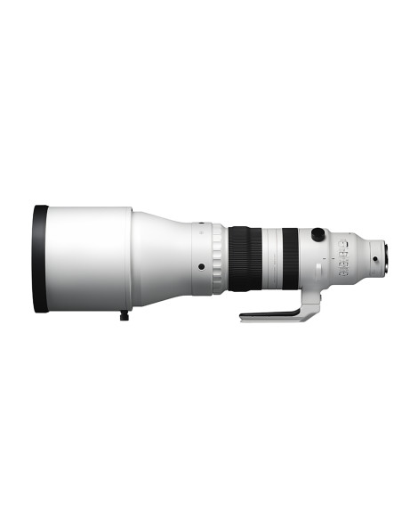 300-600mm f/4 DG OS Sports Sony E-Mount