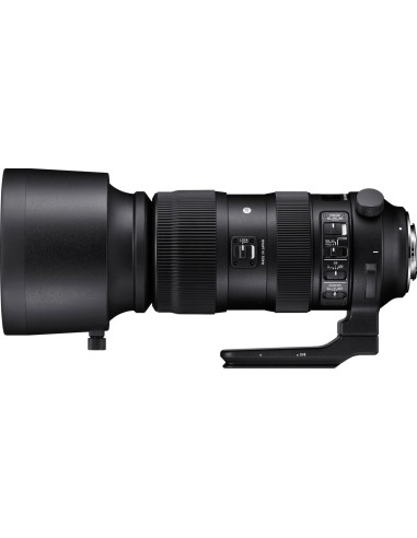 60-600mm f/4.5-6.3 Sport AF DG OS HSM Canon
