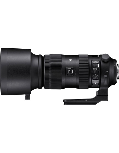 60-600mm f/4.5-6.3 Sport AF DG OS HSM Canon