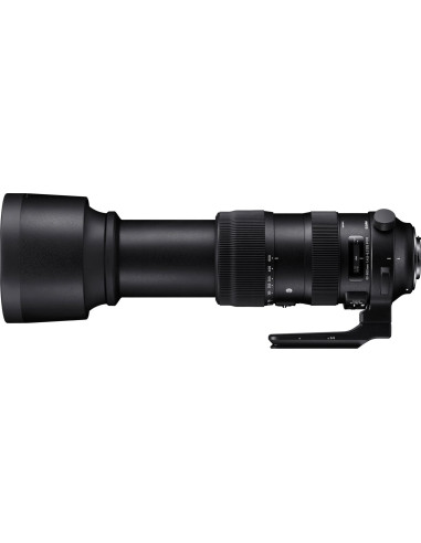 60-600mm f/4.5-6.3 Sport AF DG OS HSM Canon