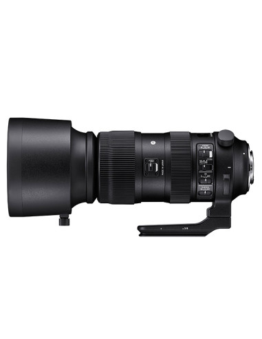 SIGMA AF 60-600 F/4.5-6.3 (S) DG OS HSM NIKON