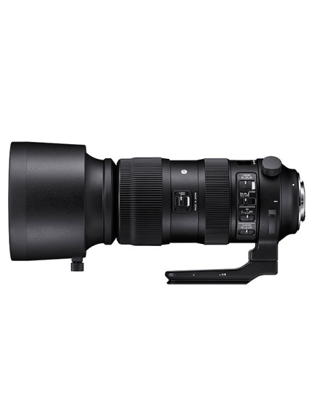 SIGMA AF 60-600 F/4.5-6.3 (S) DG OS HSM NIKON