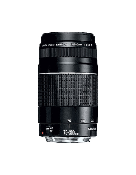 EF 75-300mm f/4.0-5.6 III