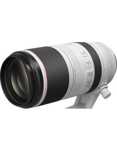 RF 100-500mm f/4.5-7.1 L IS USM