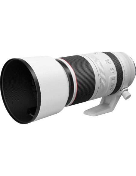 RF 100-500mm f/4.5-7.1 L IS USM