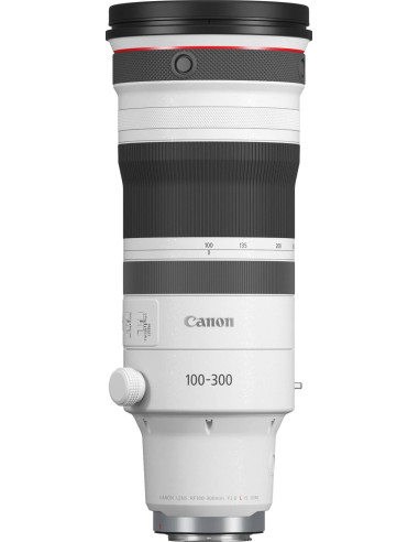 RF 100-300mm f/2.8 L IS USM