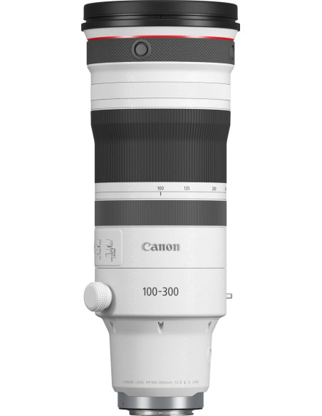 RF 100-300mm f/2.8 L IS USM
