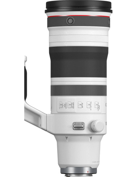 RF 100-300mm f/2.8 L IS USM