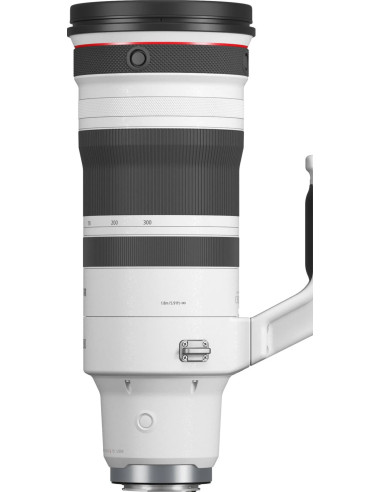 RF 100-300mm f/2.8 L IS USM
