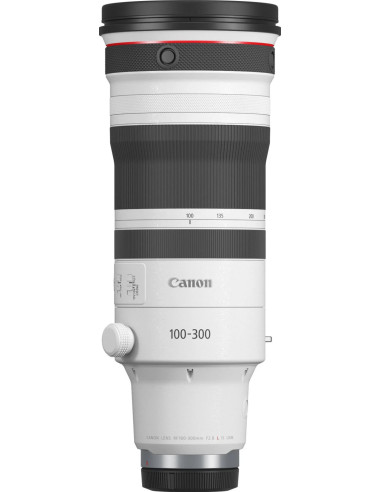 RF 100-300mm f/2.8 L IS USM
