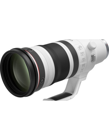 RF 100-300mm f/2.8 L IS USM