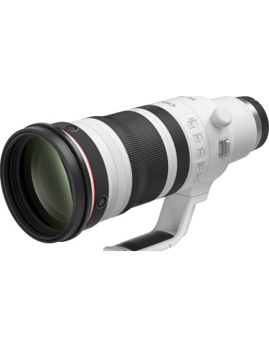 RF 100-300mm f/2.8 L IS USM